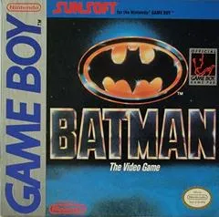 Batman the Video Game