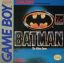 Batman the Video Game